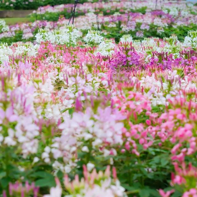 来了来了！龙虎山景点朋友圈第二季，比上一季更会“发”了！