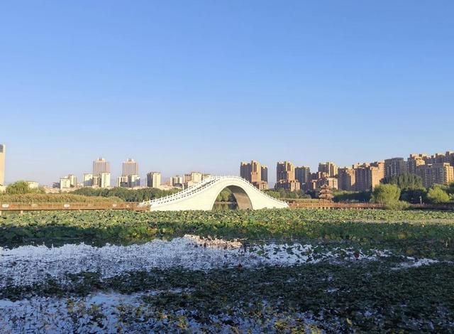 “口袋”公园、湿地景观、城市森林……金凤区这73处家门口的“诗和远方”，你体验过吗？