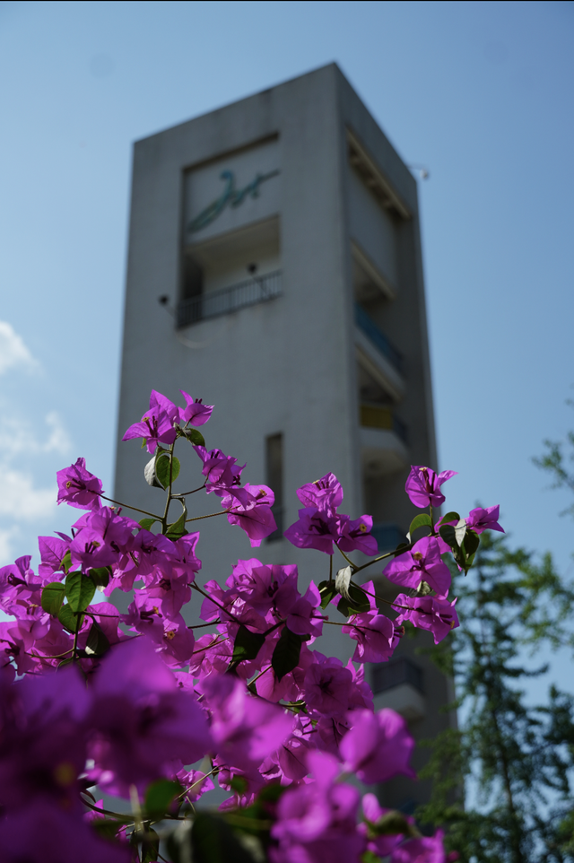 在川大，这是我的珍藏地！
