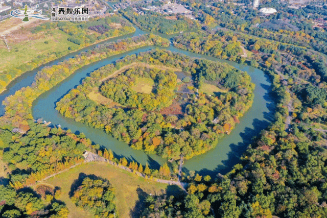 街头大量出现！常州人都已经捡上了