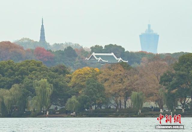 江南冬日 杭州西湖林木斑斓景色迷人