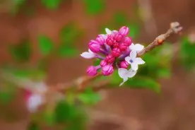 缘分的列车，你我同乘图片