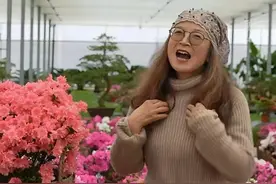 浙江“杜鹃奶奶”卖花火出圈：60岁正是闯的年纪！图片