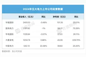 五大电力巨头年度成绩单公布，华能国际唯一净利破百亿图片