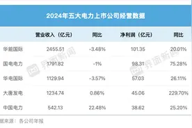 五大电力巨头年度成绩单公布，华能国际唯一净利破百亿图片