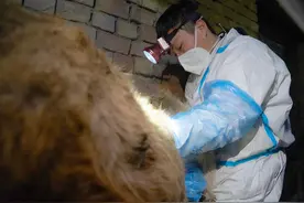 配种技术培训忙“充电” 赋能畜牧养殖高效发展图片