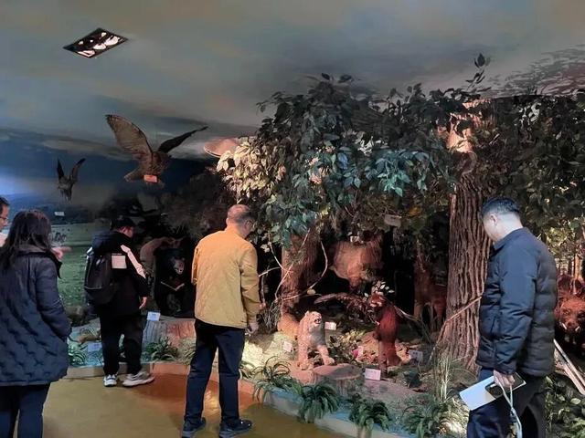 寒假限定｜1月16日~21日哈师大附中喊你免费玩冰