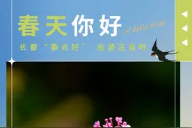 出！发！来长春过春天！带你玩出“花儿”~图片