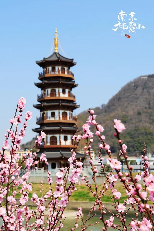 南京两大景区官宣：免费开放