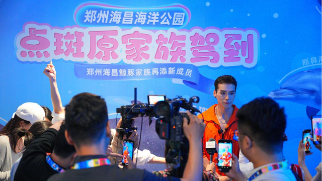 郑州海昌海洋公园暑期迎百万客流，豫泰文旅融合燃动中原