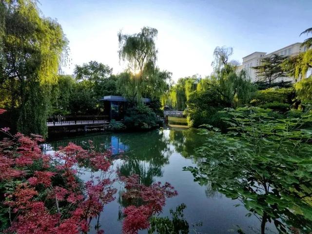 还有谁不知道，逛洛阳真的不用花钱