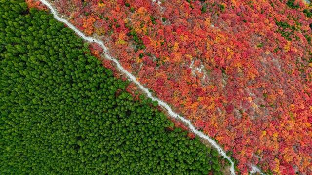 新华社+《国家地理》推荐 快来打卡山东秋景限定款