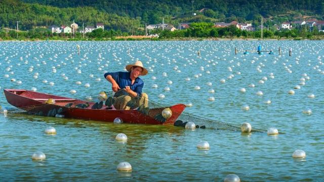 玩转西施跨年音乐节！吃喝玩乐，收藏这篇就够了→