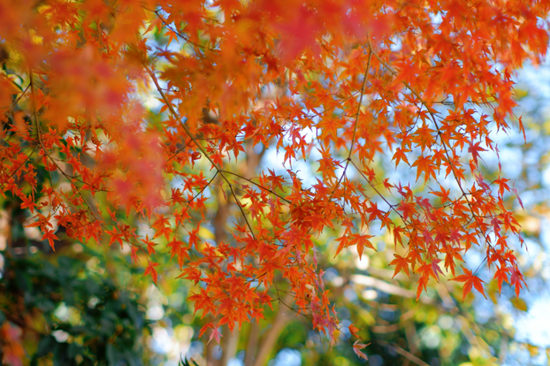 金山这些地方不小心被“曝光”了！