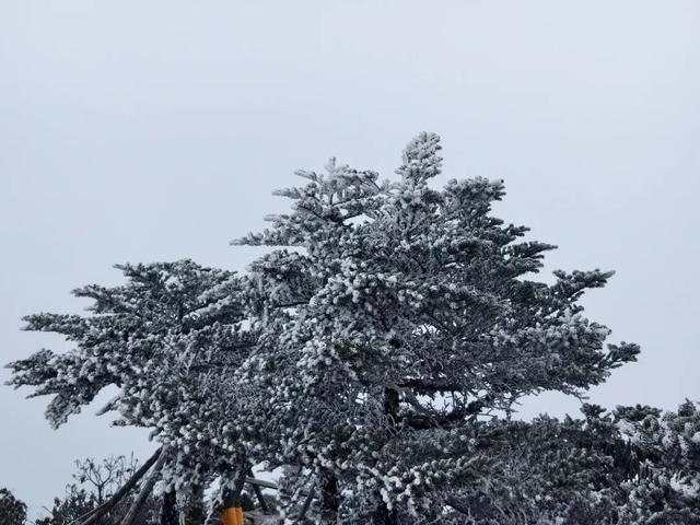 原来泸定不止泸定桥！4天深度游挖到宝了