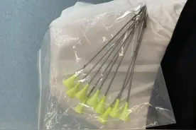 小区流浪猫身中10箭死亡，还有多只猫咪被射伤！嫌疑人已被警方控制图片