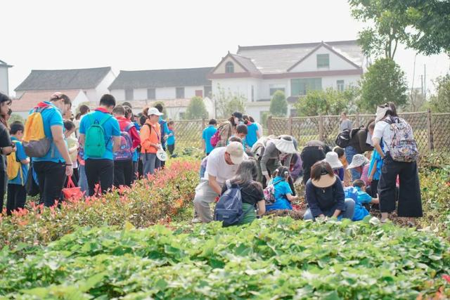 这里的元旦活动，你确定不来吗？