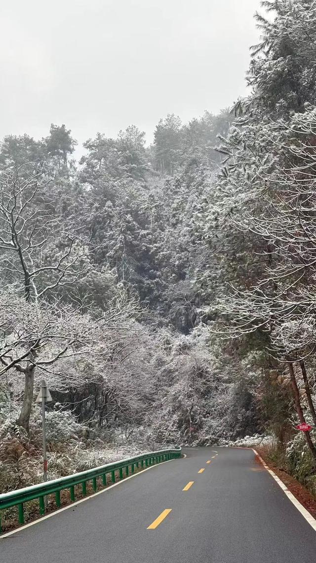 刚刚！凤凰山下雪啦！是真的！