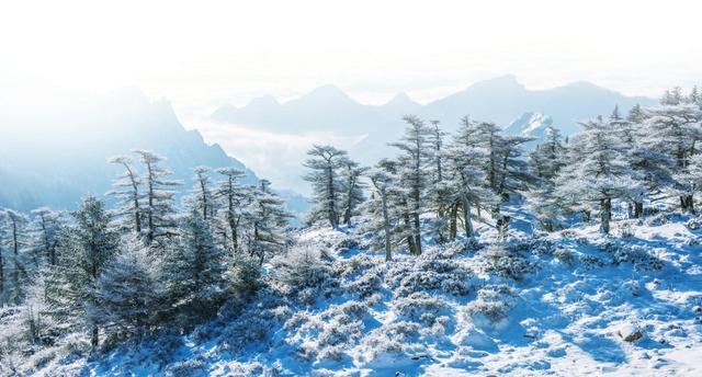山西忻州冰雪古建绘就水墨晋韵，与千年人文温暖邂逅