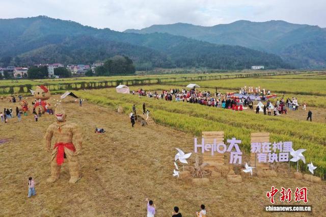 摸鱼割稻拍大片 闽北农耕游玩转乡土乐趣