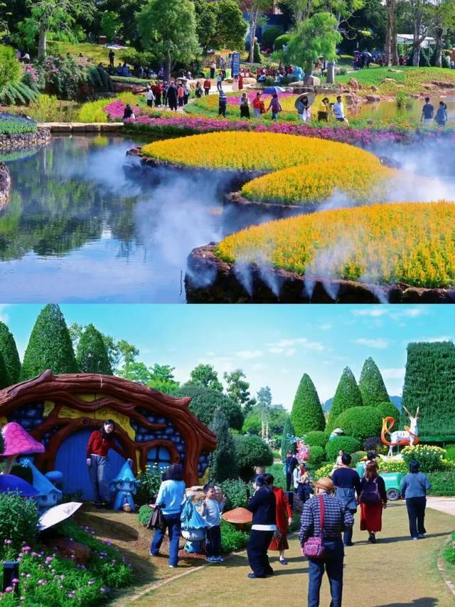 大美青秀山 | 叶子花园、丘石花园、音乐大草坪、金杉湖即将迎来冬日最佳观赏期！