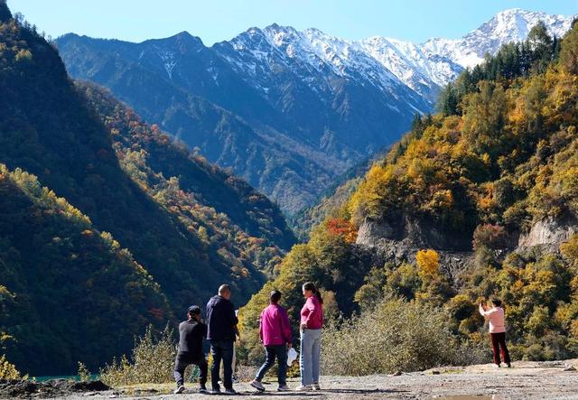 四川平武彩林红叶进入最佳观赏期  九绵高速催生“快旅慢游”新体验