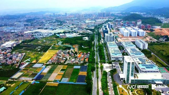 经济大市如何挑大梁？四组关键词，看东莞镇街高质量发展画像