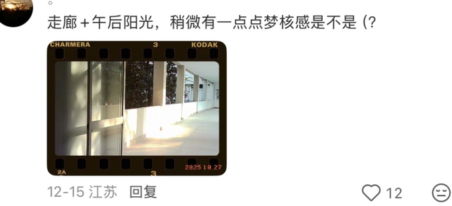 200块的塑料盲盒，怎么成了当下最火的“出片神器”