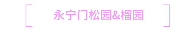 夜猫子必看 | 西安城墙晚上可以这么玩！