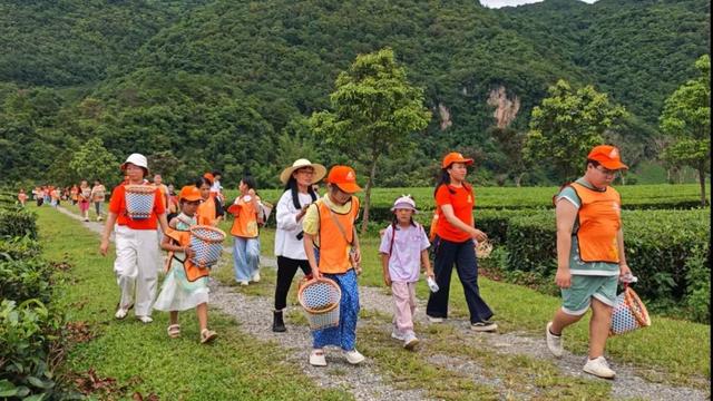 跨越山川“邂逅”耿马 开启研学“探秘”之旅