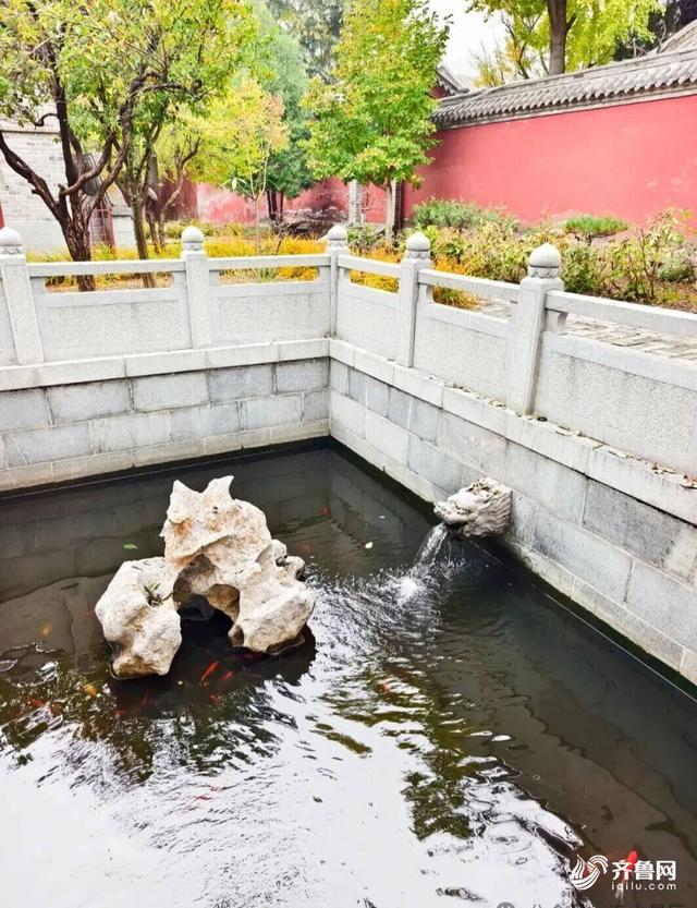 组图丨一大波美图来袭！泰山景区9个赏秋地超出片