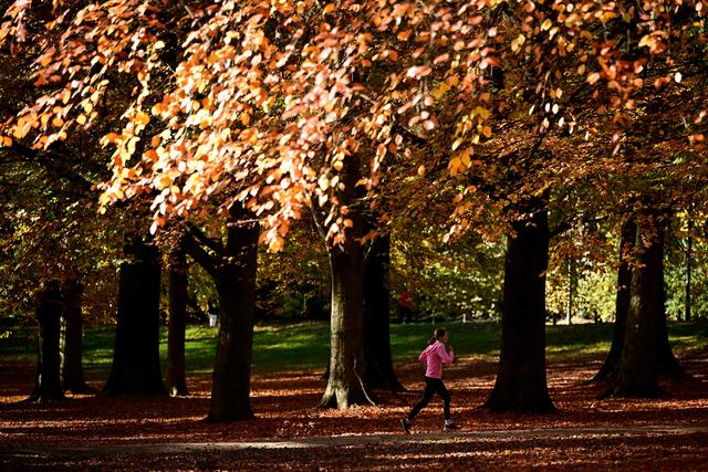 （外代一线）秋日欧洲
