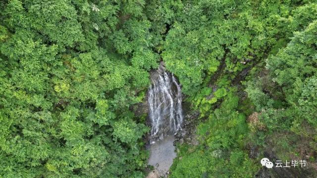什么！毕节这里也上电视了？