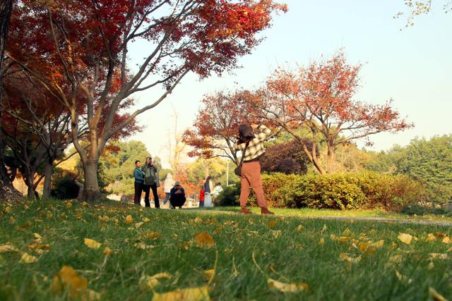 江苏苏州：桐泾公园斑斓冬景引客来