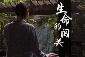 世界骨髓捐献者日图片