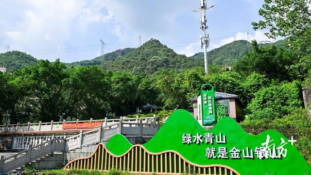 清新百步梯林长绿美园焕新：设施提质、生态扩容、宣教升级