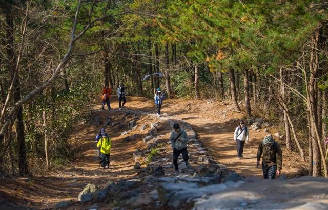 Hi走奉化③ | 拿下最高峰！蜘蛛岭古道虽累，但这秋色值了！
