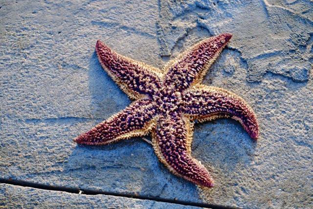 “鸥”遇环翠 “雪”舞浪漫丨威海这个地方，来一百次也不会腻