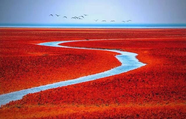 沿着黄河，遇见628公里的“山东之美”