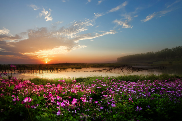 宝藏仙桃，太“鲜”啦！（采风招募）