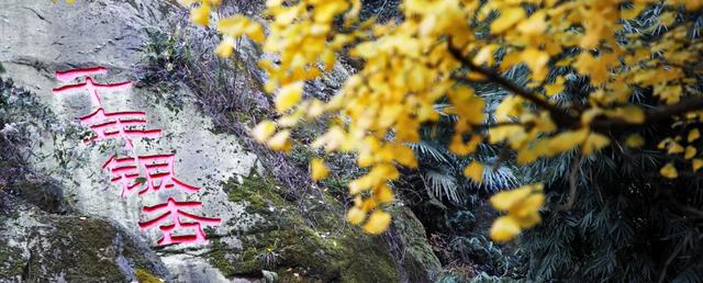 别再瞎找了！这张“黄金版图”全是惊喜