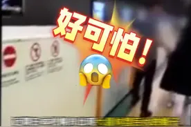 恐怖！日本札幌出现大量巨型蛾子 行人吓得尖叫图片