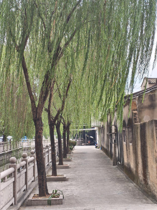 古城“村”晚首场来袭！11月28日，相约东泮共赴文化盛宴