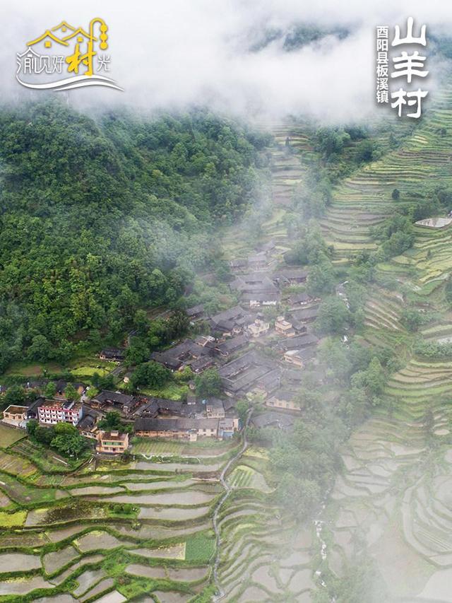 渝见好“村”光 | 酉阳山羊古寨：红叶深处的诗意田园
