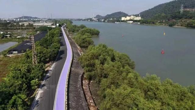 5分钟串联三大景区！广州这条环岛路正式贯通