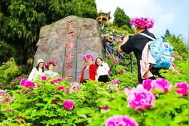 重庆垫江：小小一朵花 繁荣一座城图片