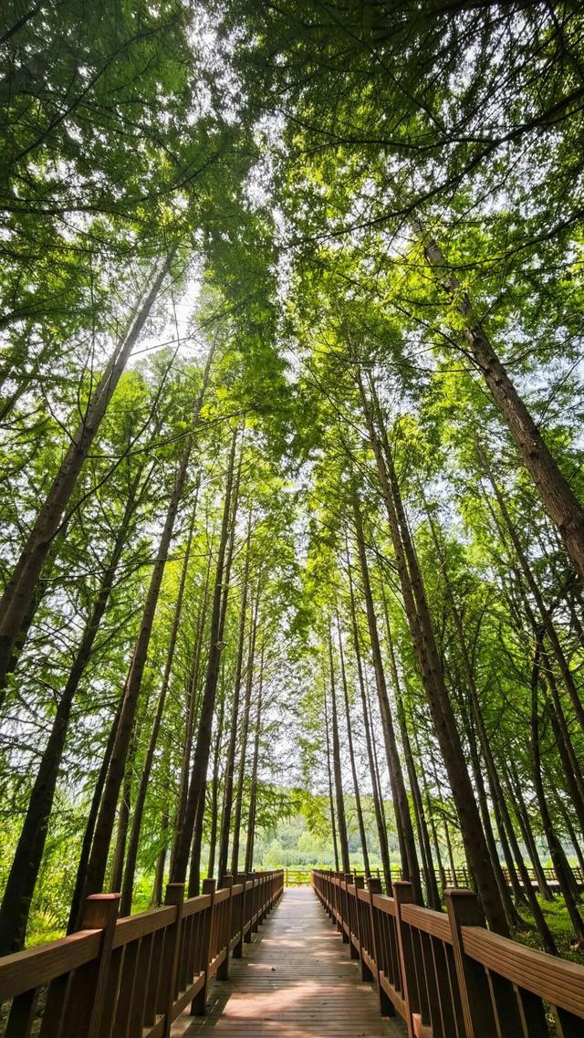 四时天工 扬州如画