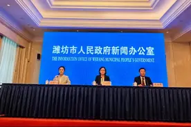 从“制造”到“智造”！潍坊打造全国制造业数字化转型标杆图片