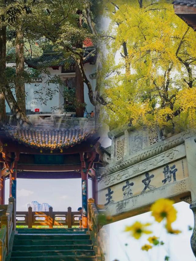 来江西书院赏秋，聆听穿越千年的风雅颂！