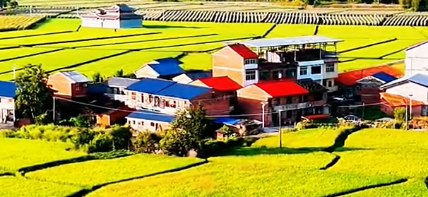 初冬限定！三明的山林、梯田、古村，藏着最治愈的风光